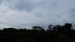 Village @ Pasir Panjang (D5), Condominium #140636712